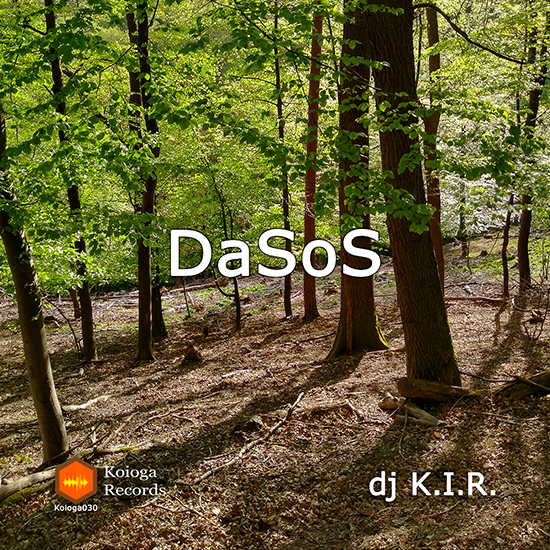 DaSoS