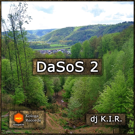 DaSoS 2